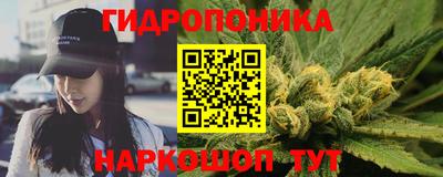 прущие крисы Свободный
