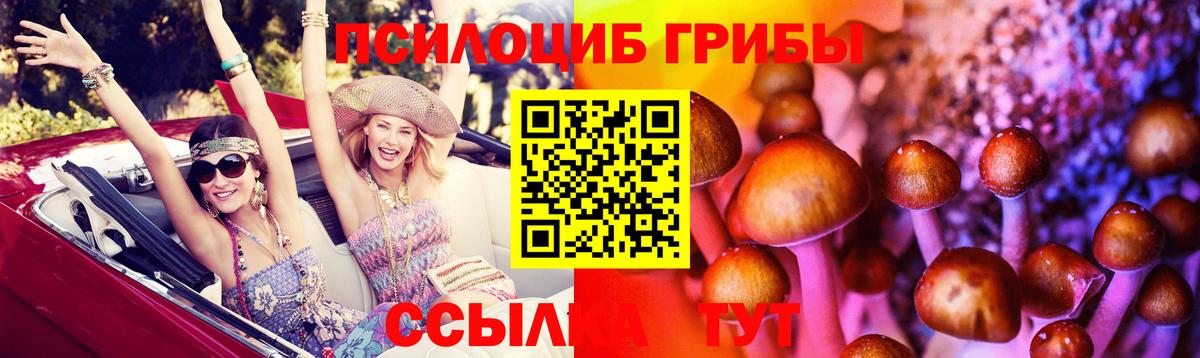 Псилоцибиновые грибы GOLDEN TEACHER Приморско-Ахтарск
