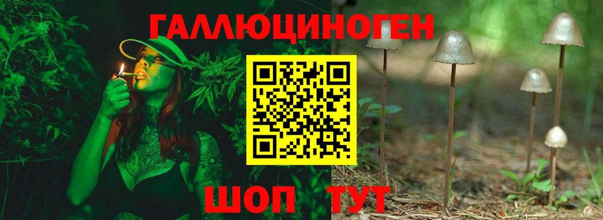 Приморско-Ахтарск  Псилоцибиновые грибы ЛСД  Вход с VPN 